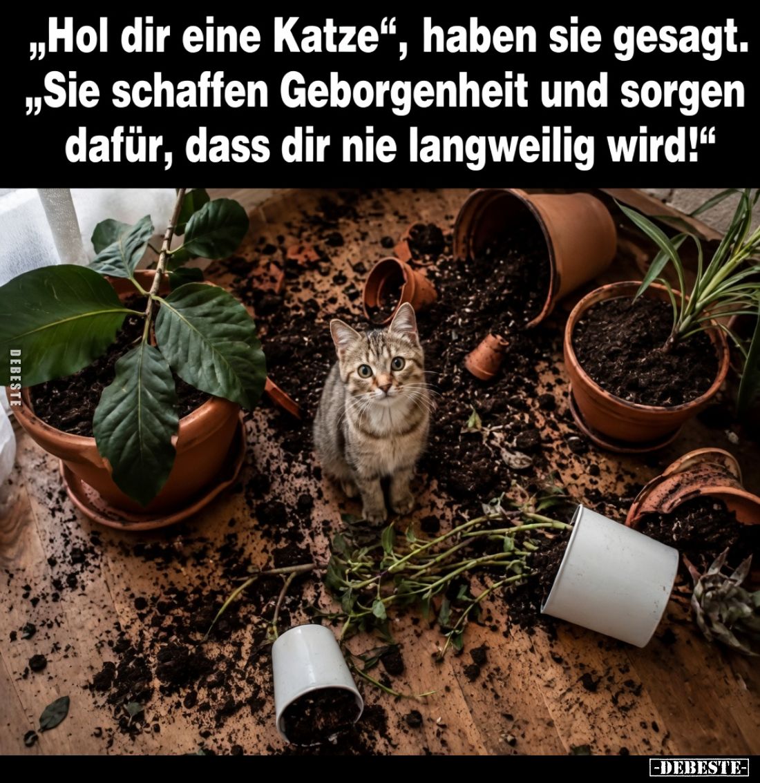 „Hol dir eine Katze“, haben sie gesagt.
„Sie schaffen Geborgenheit und sorgen dafür, dass dir nie langweilig wird!“