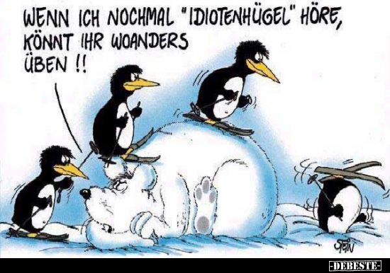 Lustige Bilder zum Thema: Idioten