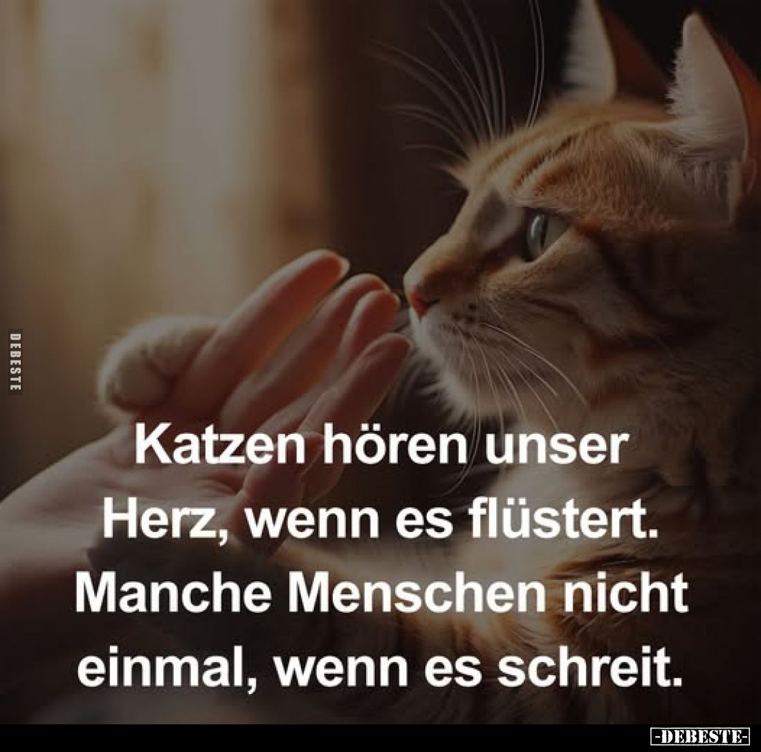Katzen hören unser Herz, wenn es flüstert. Manche Menschen nicht einmal, wenn es schreit.