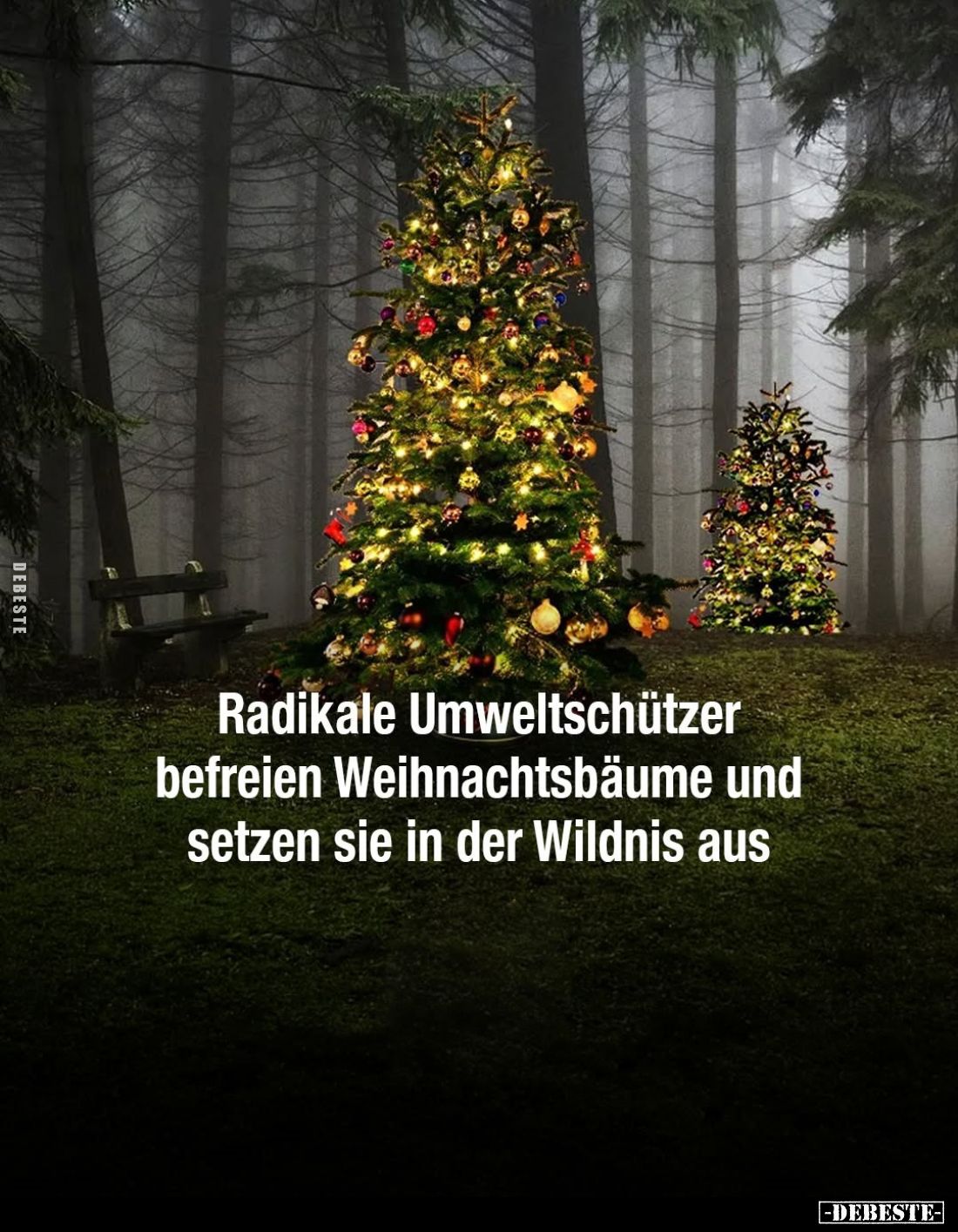 Radikale Umweltschützer befreien Weihnachtsbäume und setzen sie in der Wildnis aus