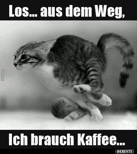 Los... aus dem Weg, Ich brauch Kaffee... - Lustige Bilder | DEBESTE.de