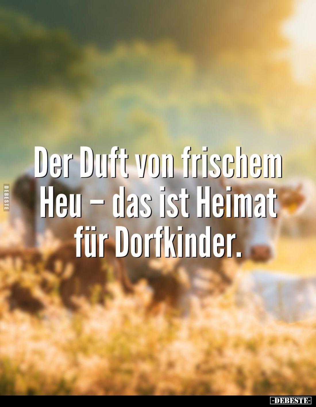 Der Duft von frischem Heu - das ist Heimat für Dorfkinder.