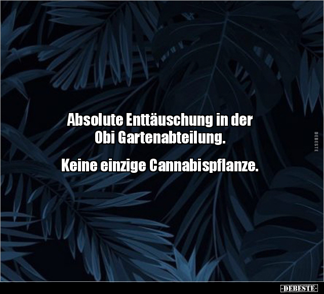 Absolute Enttäuschung in der Obi Gartenabteilung.. - Lustige Bilder | DEBESTE.de