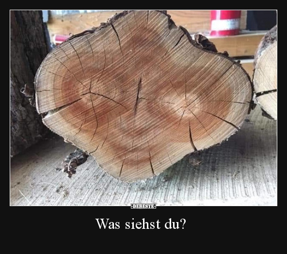 Was siehst du?..