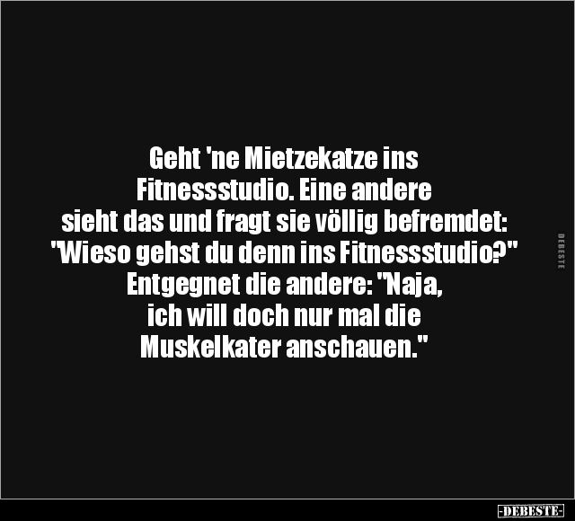 Geht 'ne Mietzekatze ins Fitnessstudio.. - Lustige Bilder | DEBESTE.de