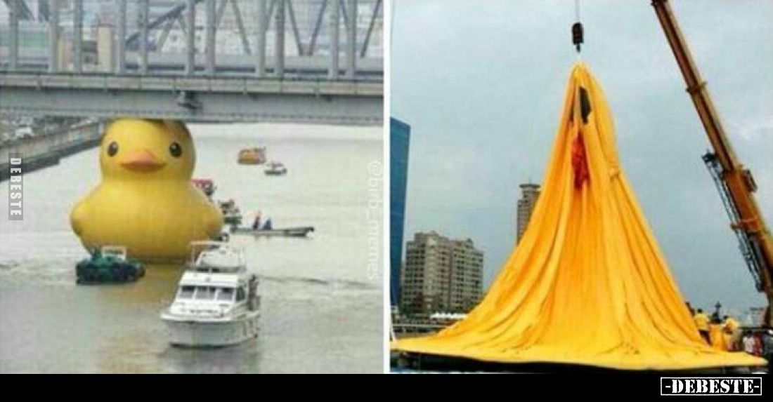  - Lustige Bilder | DEBESTE.de