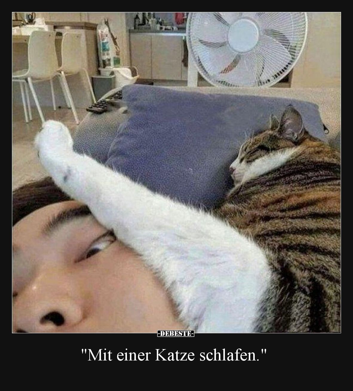 Mit einer Katze schlafen.