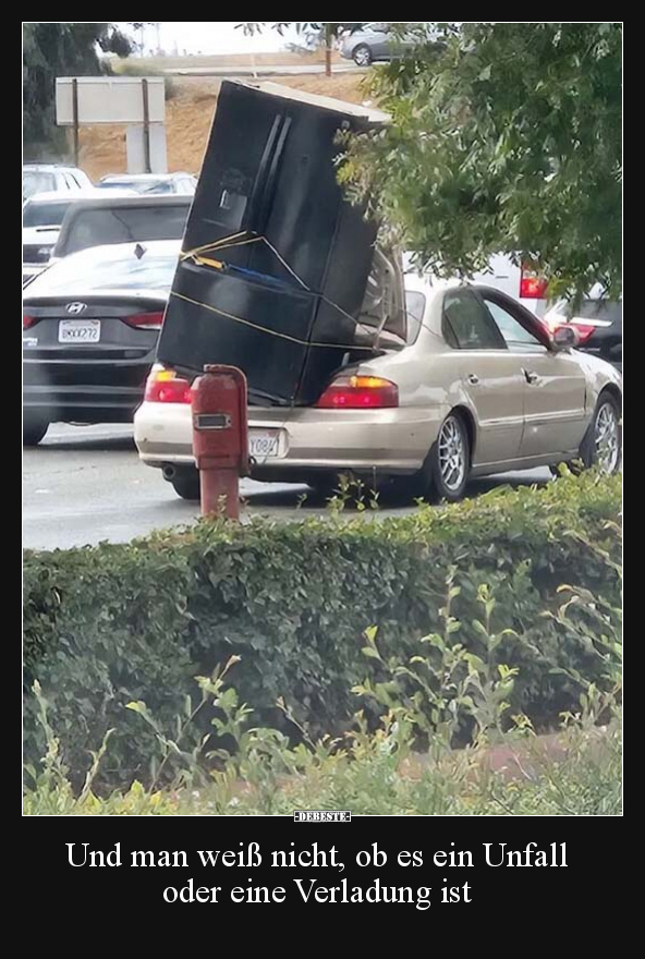 Und man weiß nicht, ob es ein Unfall oder eine Verladung.. - Lustige Bilder | DEBESTE.de