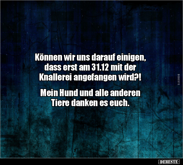 Können wir uns darauf einigen, dass erst am 31.12 mit der.. - Lustige Bilder | DEBESTE.de