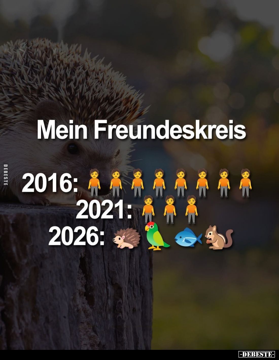 Mein Freundeskreis:
2016: /
2021: /
2026: