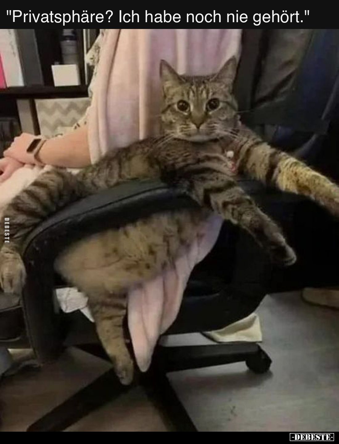 Privatsphäre? Ich habe noch nie gehört.