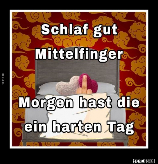 Schlaf gut Mittelfinger.. - Lustige Bilder | DEBESTE.de