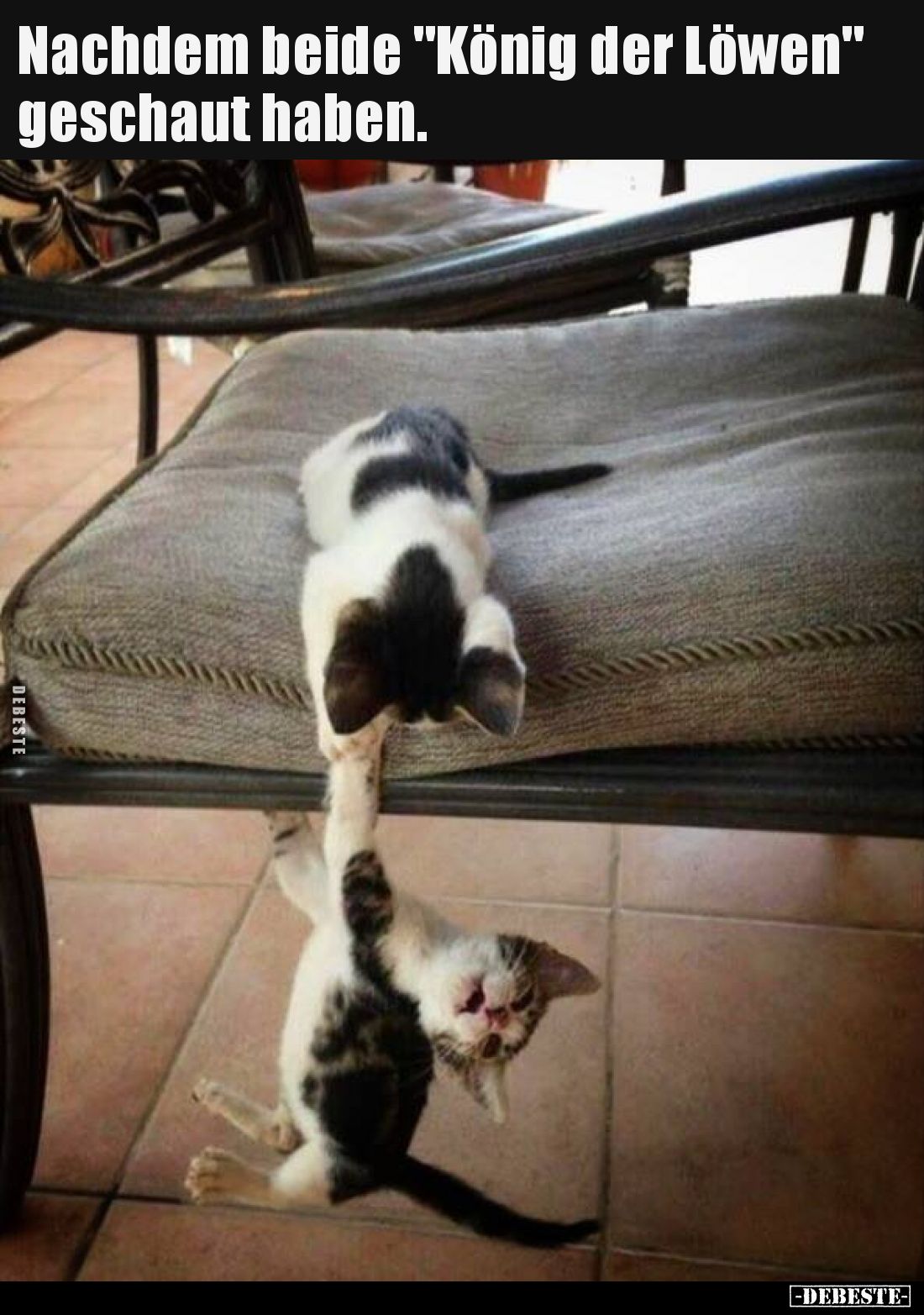 Nachdem beide "König der Löwen" geschaut haben.