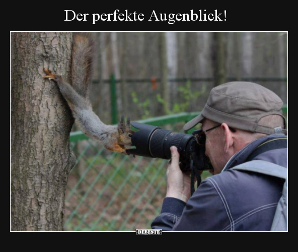 Der perfekte Augenblick!.. - Lustige Bilder | DEBESTE.de