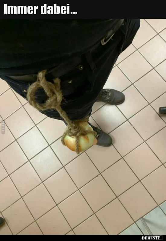 Immer dabei...
