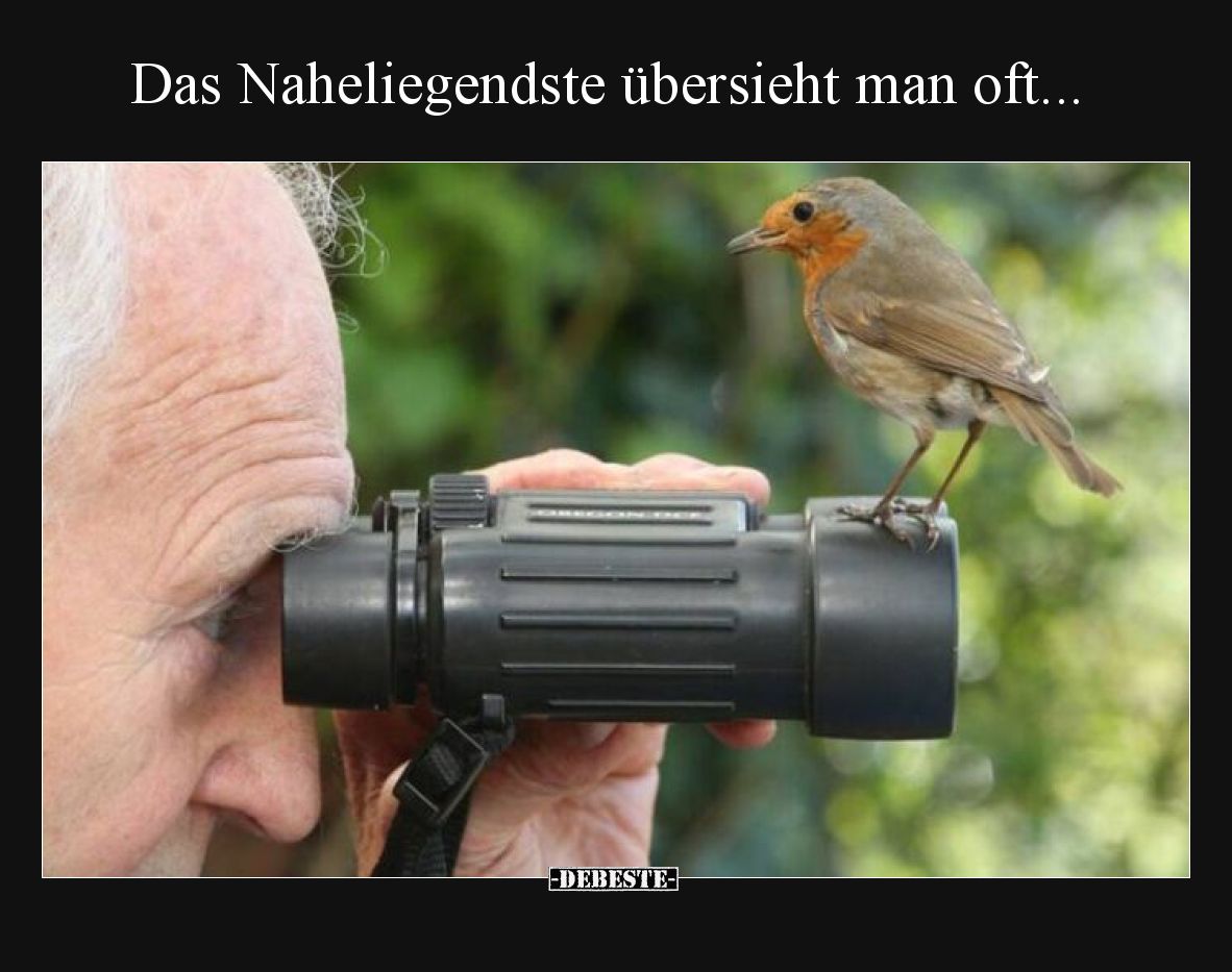 Das Naheliegendste übersieht man oft.