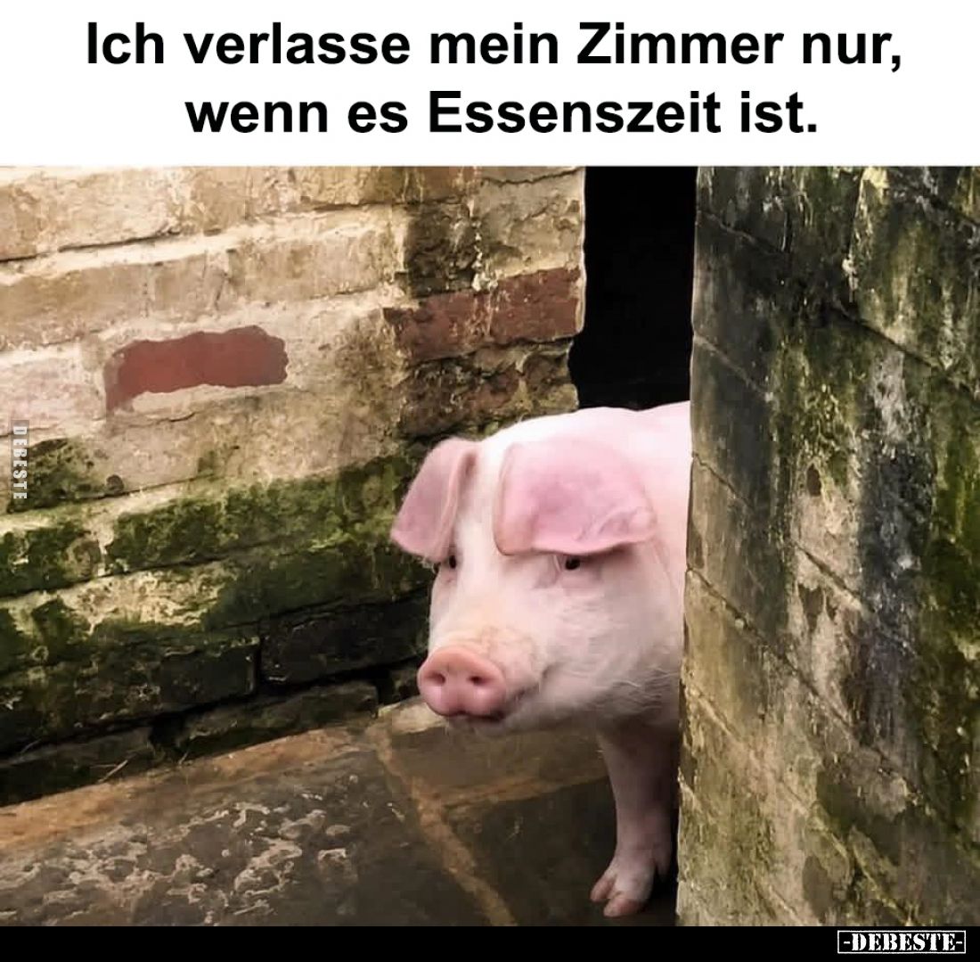 Ich verlasse mein Zimmer nur, wenn es Essenszeit ist.
