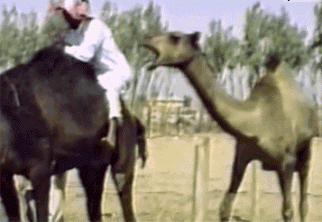 Du bist nicht du wenn du hungrig bist...