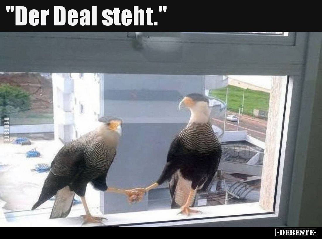 "Der Deal steht."..