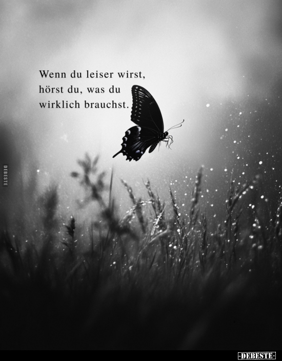 Wenn du leiser wirst, hörst du, was du wirklich brauchst.