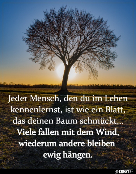 Jeder Mensch, den du im Leben kennenlernst, ist wie ein.. - Lustige Bilder | DEBESTE.de