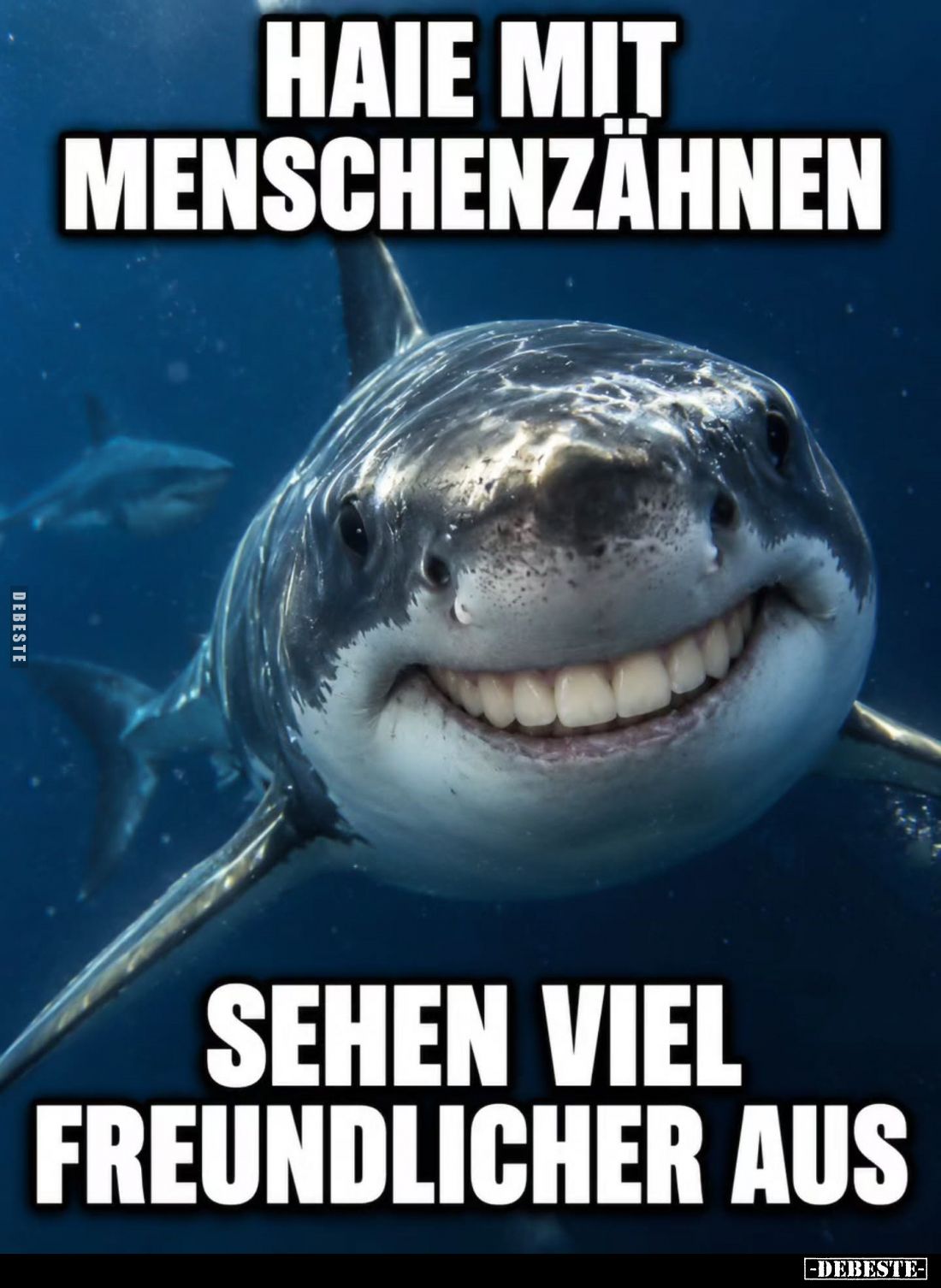 Haie mit Menschenzähnen
sehen viel freundlicher aus.