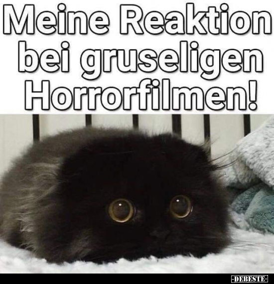 Meine Reaktion bei gruseligen Horrorfilmen! - Lustige Bilder | DEBESTE.de