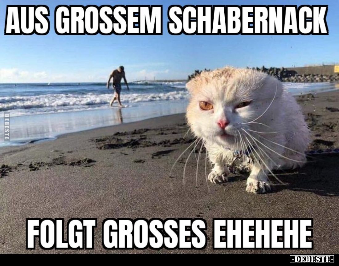 Aus grossem Schabernack folgt grosses Ehehehe