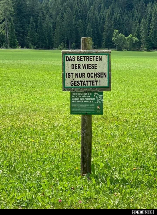 Das Betreten der Wiese ist nur Ochsen gestattet! - Lustige Bilder | DEBESTE.de