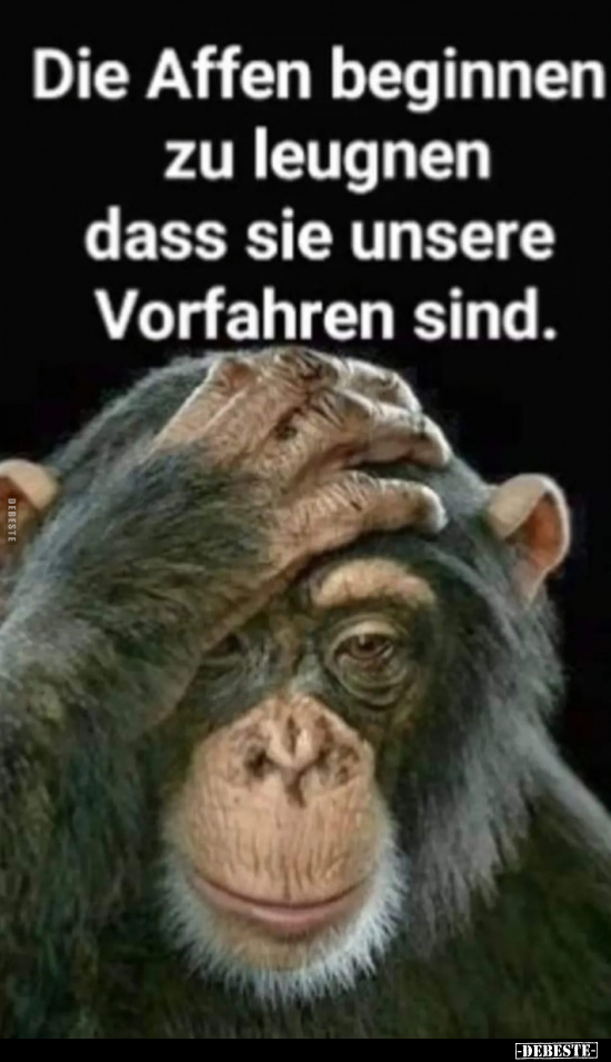 Die Affen beginnen zu leugnen dass sie unsere Vorfahren.. - Lustige Bilder | DEBESTE.de