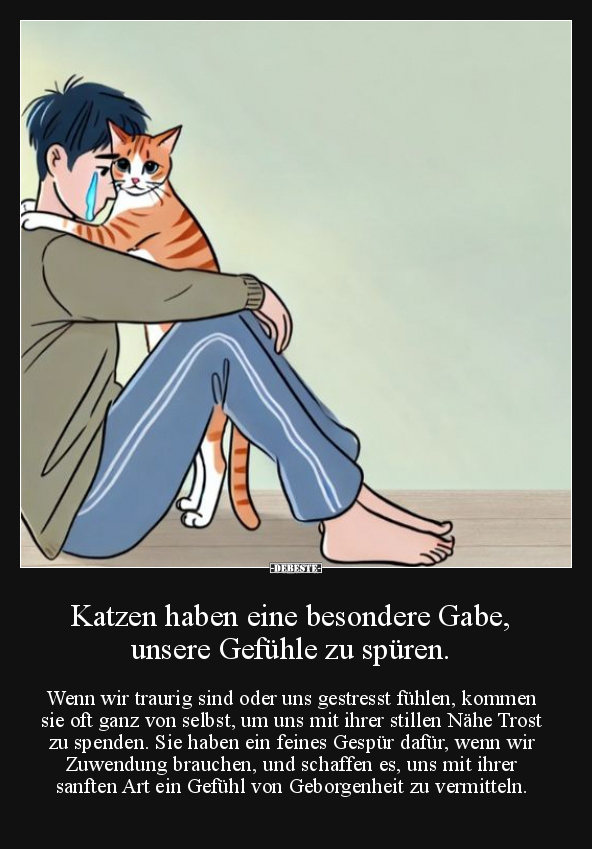 Katzen haben eine besondere Gabe, unsere Gefühle zu.. - Lustige Bilder | DEBESTE.de