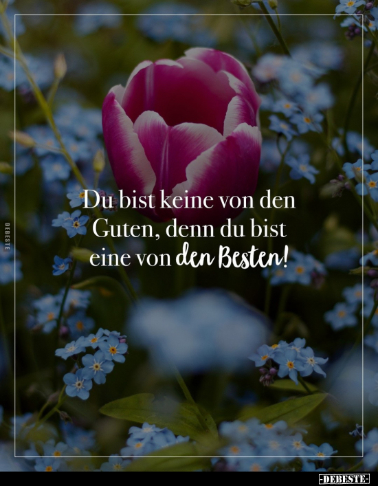 Du bist keine von den Guten, denn du.. - Lustige Bilder | DEBESTE.de