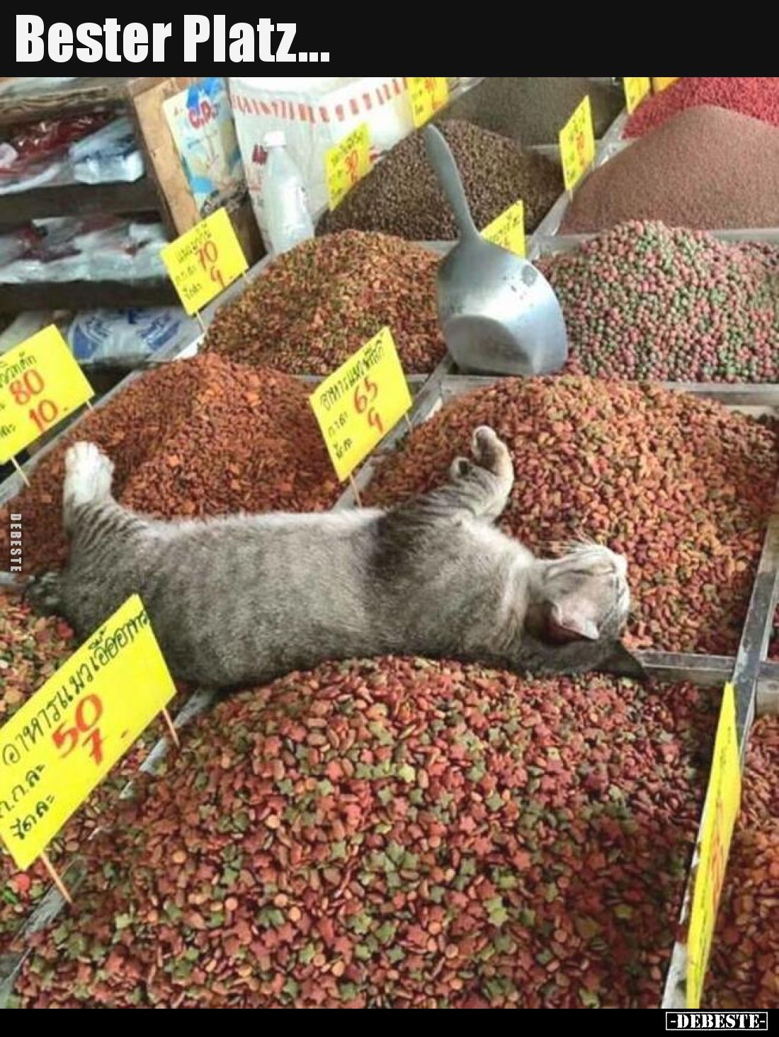 Bester Platz...