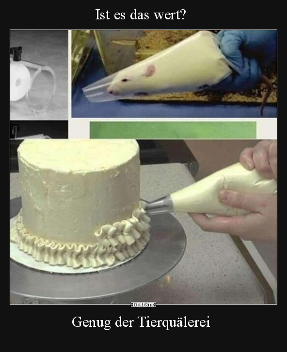 Ist es das wert? Genug der Tierquälerei