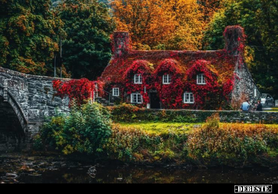  - Lustige Bilder | DEBESTE.de