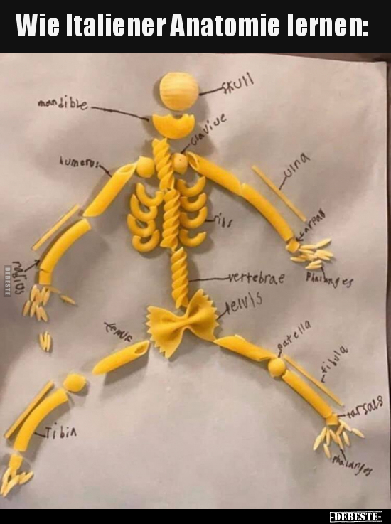 Wie Italiener Anatomie lernen.. - Lustige Bilder | DEBESTE.de