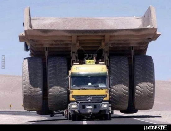  - Lustige Bilder | DEBESTE.de