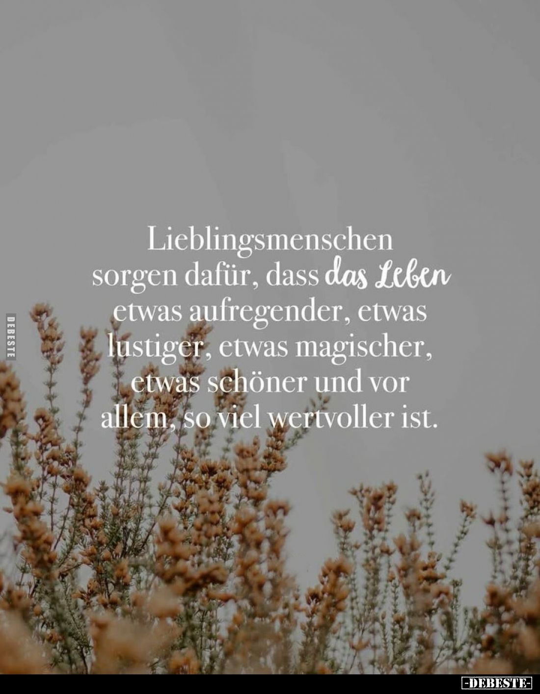 Lieblingsmenschen sorgen dafür, dass das Leben etwas aufregender, etwas lustiger, etwas magischer, etwas schöner und vor alle...