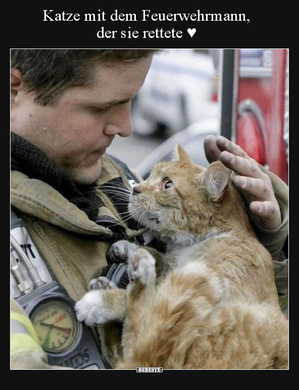 Katze mit dem Feuerwehrmann, der sie rettete ♥ - Lustige Bilder | DEBESTE.de