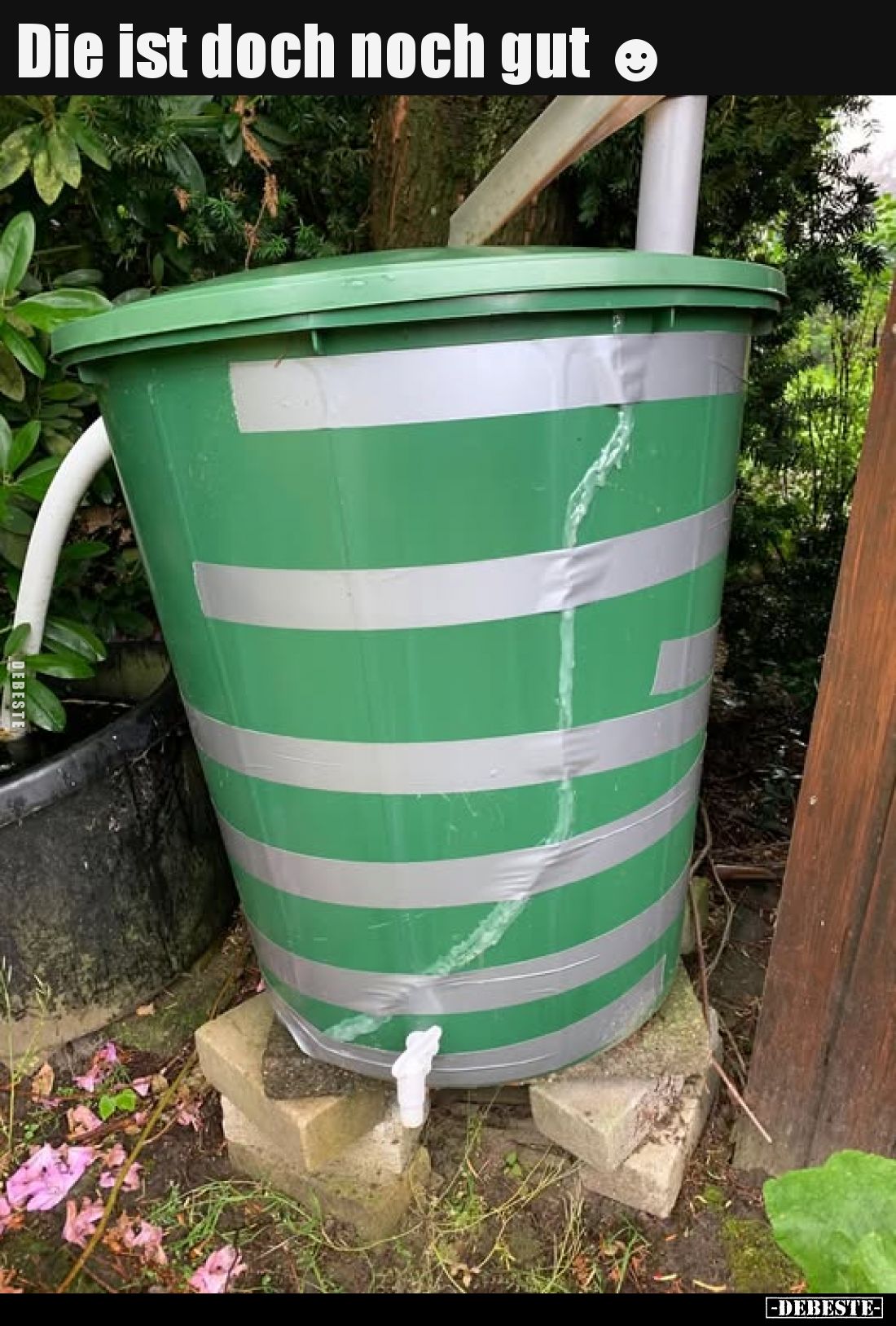 Die ist doch noch gut.