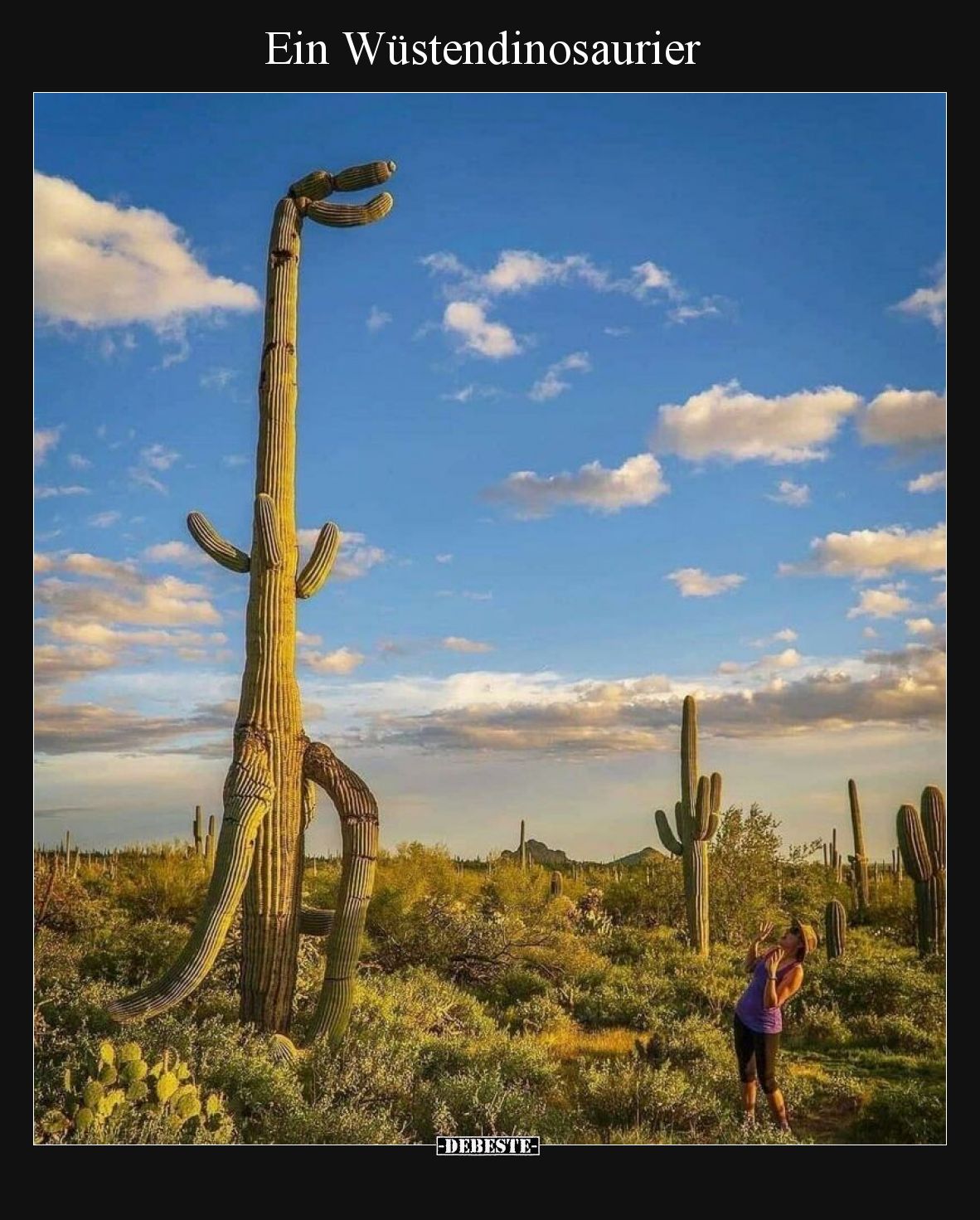 Ein Wüstendinosaurier