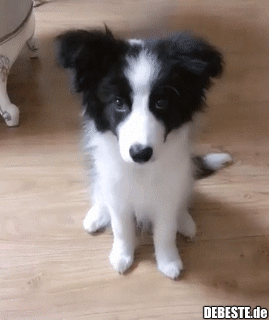 Was zur Hölle willst du?