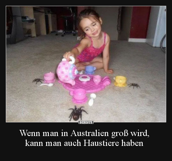 Haus, Tiere, Stier, Tier, Alien, Australien, Groß