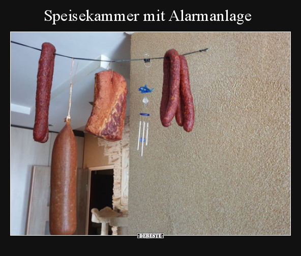 Speisekammer mit Alarmanlage.. - Lustige Bilder | DEBESTE.de