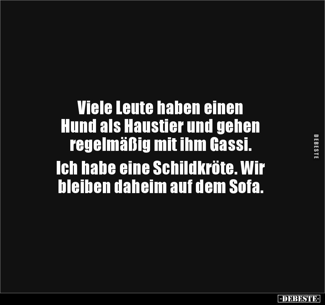 Viele Leute haben einen 
Hund als Haustier und gehen 
regelmäßig mit ihm Gassi. 

Ich habe eine Schildkröte. Wir 
bleibe...
