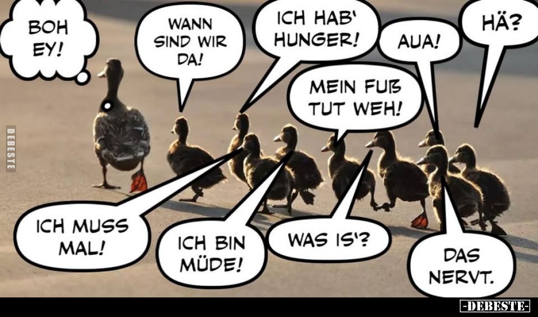 Boh ey!
Wann sind wir da!
Ich hab' hunger!
Aua!
Hä?
Mein Fuß tut weh!
Ich muss mal!
Ich bin müde!
Was is'?
Das nervt...