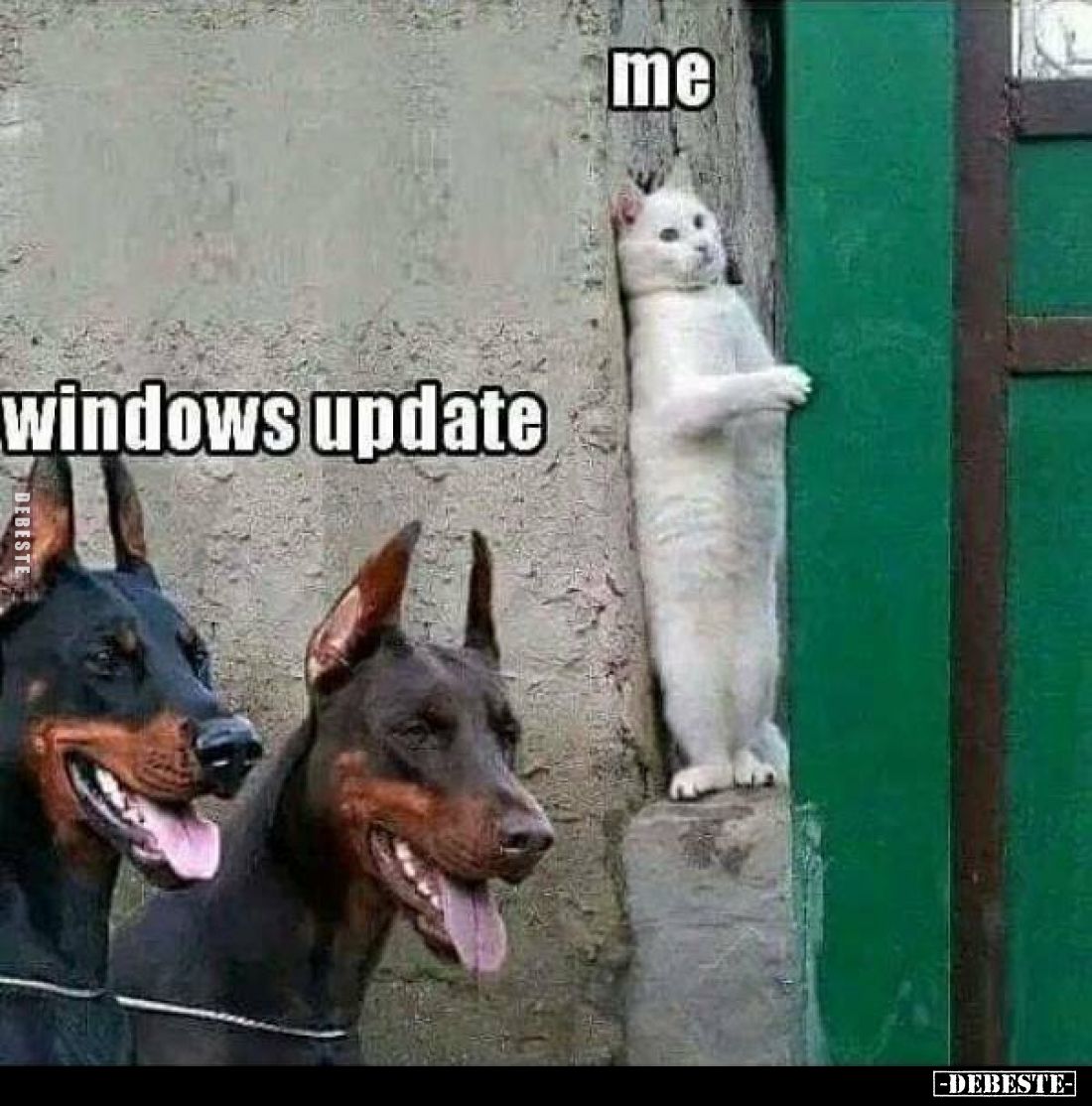 me
 - 
windows update
