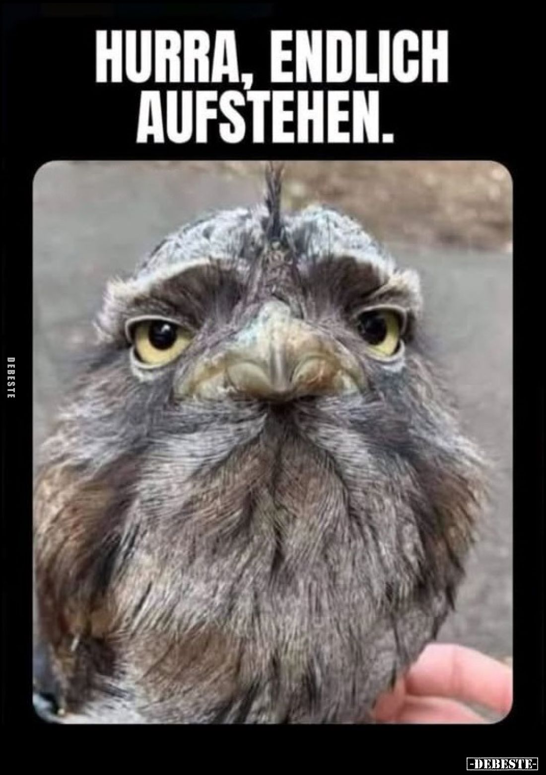 Hurra, endlich aufstehen.