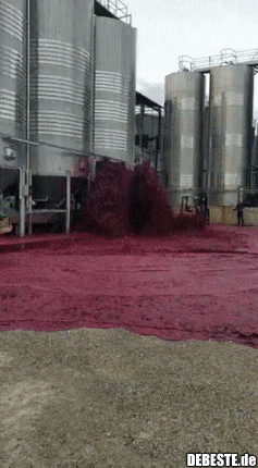 Chef, ich glaube das muss nicht so?