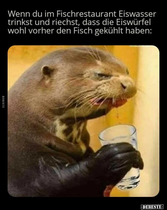 Wenn du im Fischrestaurant Eiswasser trinkst und riechst.. - Lustige Bilder | DEBESTE.de